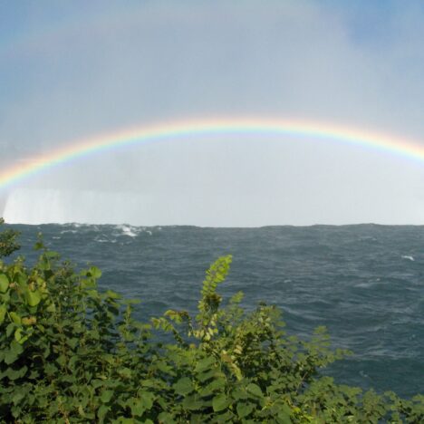 Have Travel Manners Become Extinct?