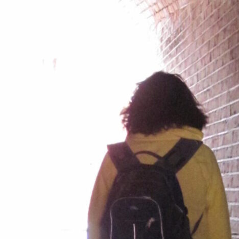 How to successfully balance travel with pet ownership