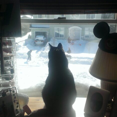 Things That I Miss From Childhood