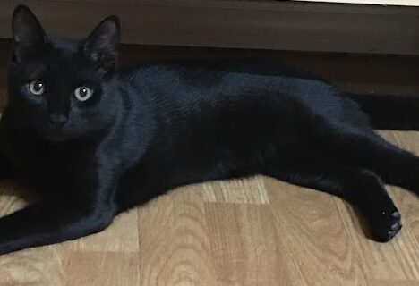 HOW THE MOVIE “UP” INSPIRES