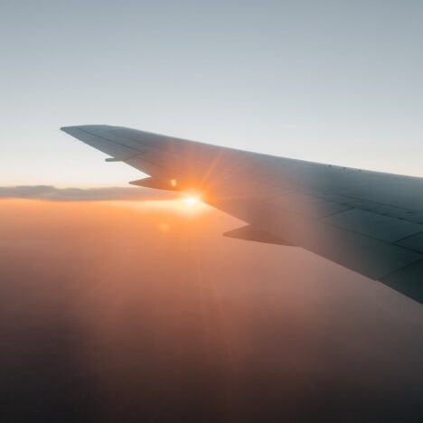 Important Life Lessons that  I Learned From My Cats