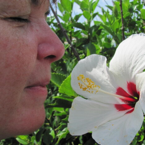 The Perfect Week in Barcelona, Spain