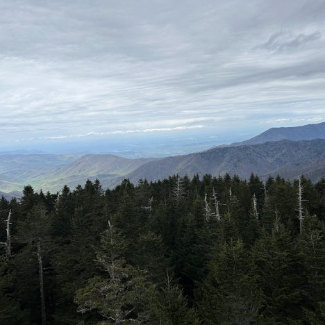 What to Know Before Experiencing Beautiful Argentina