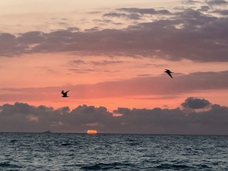 A Winter Break in Costa del Sol, Spain